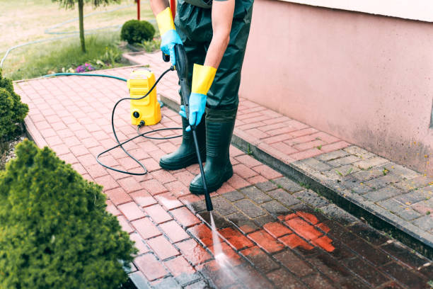 Best Local Pressure Washing Services  in Mount Vernon, NY