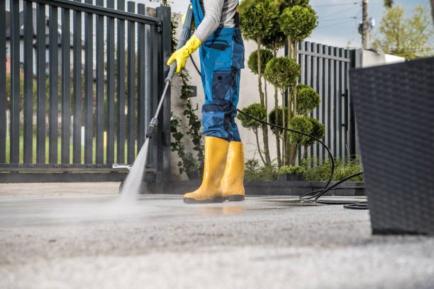 Best Pressure Washing Contractors  in Mount Vernon, NY