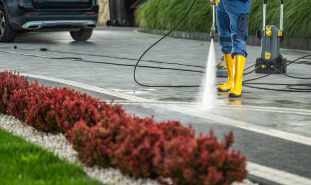 Local Pressure Washing Services in Mount Vernon, NY